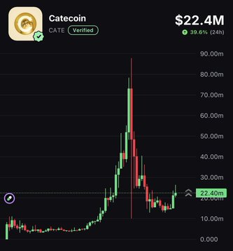 A price chart for Catecoin (CATE), showing a market cap of $22.4M with a 39.6% increase over 24 hours and a dramatic peak near $80M before settling back down. The chart's "cat season" volatility aligns with the post's suggestion to buy both $CATE and $CASHCAT as a playful nod to trending cat-themed meme coins.