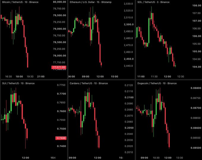 A dashboard of six cryptocurrency candlestick charts showing significant price drops across Bitcoin/TetherUS, Ethereum/U.S. Dollar, SOL/TetherUS, SUI/TetherUS, Cardano/TetherUS, and Dogecoin/TetherUS on Binance and Bitstamp exchanges.