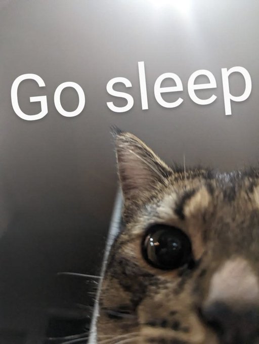 A close-up of a tabby cat looking up with the text "Go sleep" overlaid on the image.