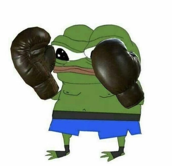 A Pepe the Frog meme wearing brown boxing gloves and blue shorts in a fighting stance.
