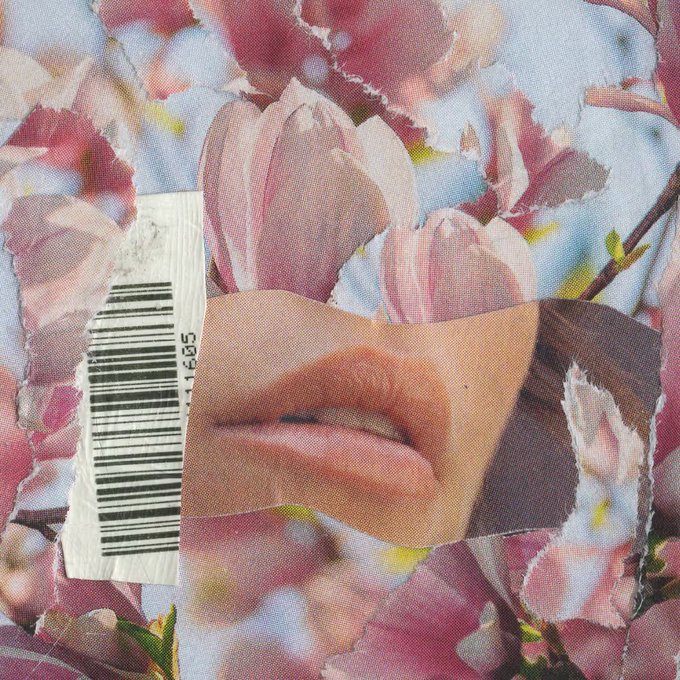 A mixed-media collage artwork featuring torn paper pieces of pink magnolia blossoms and a cut-out of lips, with a visible barcode reading '11685' pasted on top.