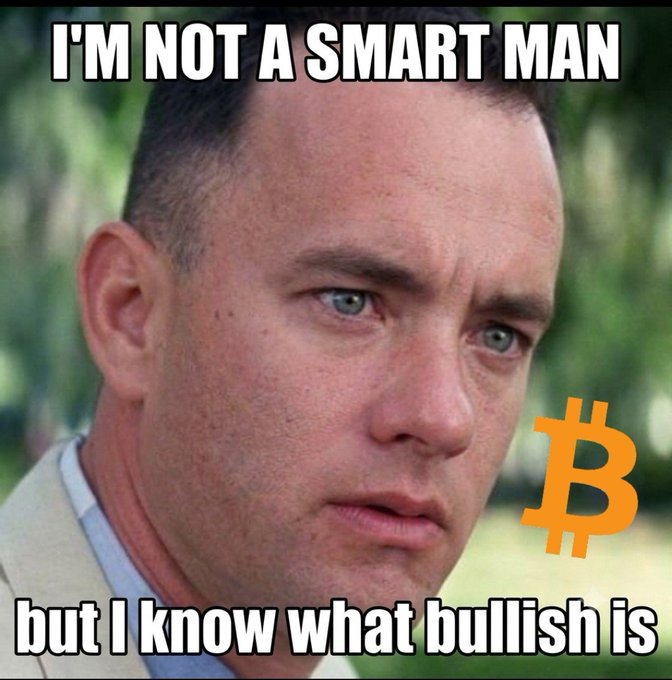 A meme featuring Forrest Gump with text "I'M NOT A SMART MAN but I know what bullish is" alongside a Bitcoin logo, humorously expressing optimism about Bitcoin's resurgence as Twitter activity, key influencers, and price action return to the crypto space.