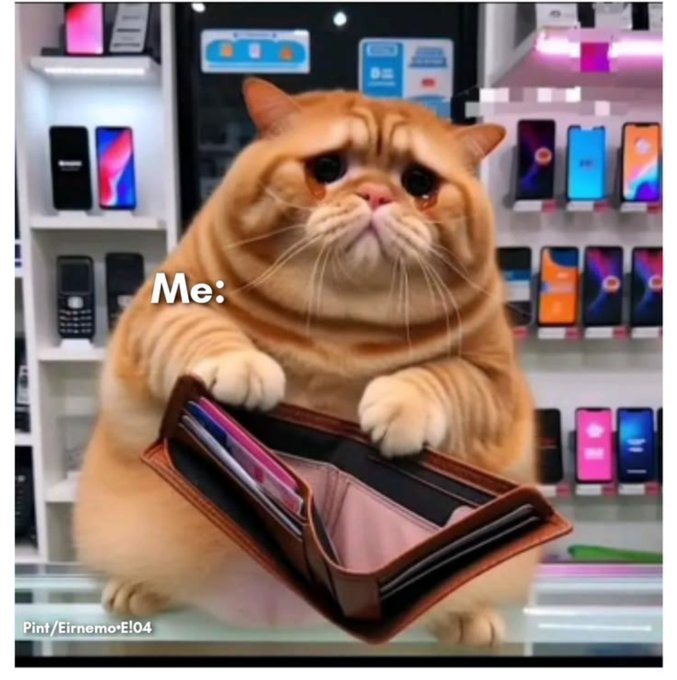 A meme image showing a chubby orange cat holding an open empty wallet in a phone shop, with the text 'Me:' overlaid on the image.