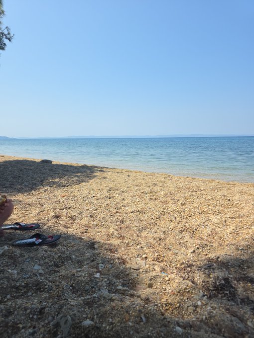 A peaceful beach scene with calm blue waters and a clear sky, where a pair of sandals and a hand holding something rest on the sandy shore, evoking the relaxed confidence suggested by the claim of a "100x ticker."