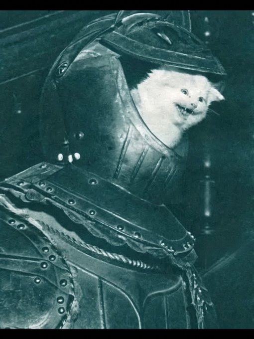 A humorous edited image of a white cat's smiling face placed inside medieval knight armor, with a dark green tint.