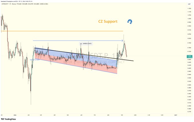 A TradingView chart of NZDUSD on a 4-hour timeframe shows a falling wedge pattern with key levels marked, including 'CZ Support' and a previous high noted as '(medium-level)'.