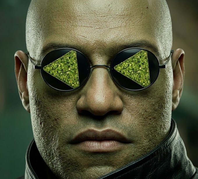 Close-up portrait of Morpheus from The Matrix with triangular green reflections in his round sunglasses.