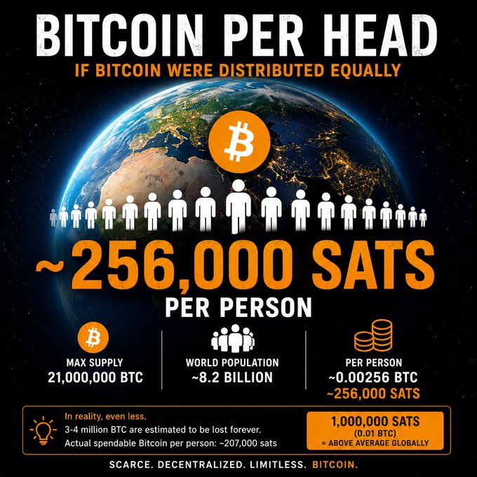 A Bitcoin infographic titled 'BITCOIN PER HEAD' showing that if Bitcoin were distributed equally, each person would have ~256,000 SATs, based on a max supply of 21,000,000 BTC and world population of ~8.2 billion, noting that 3-4 million BTC are estimated lost forever.
