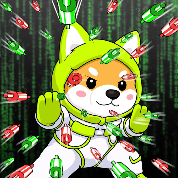 A cartoon Shiba Inu dog wearing a green and white hooded outfit, surrounded by floating red and green rockets against a Matrix-style green code background.