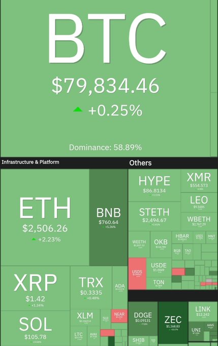 A cryptocurrency market heatmap showing BTC at $79,834.46 with +0.25% growth and 58.89% dominance, alongside other major cryptocurrencies including ETH, BNB, XRP, TRX, ADA, and SOL with their respective prices and percentage changes.
