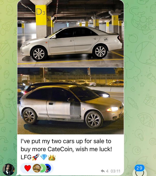 A screenshot of a social media post showing two silver cars (a sedan and a coupe) with the caption "I've put my two cars up for sale to buy more CateCoin, wish me luck! LFG 🚀💎👑" — illustrating the meme's theme of a CateCoin supporter liquidating assets to buy the token, presumably hoping it will surpass Ansem (referenced in the accompanying post).