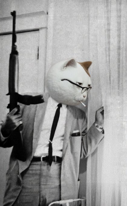 A vintage black-and-white photograph of a cat head superimposed on a man's body, wearing a suit and tie while holding what appears to be a gun.
