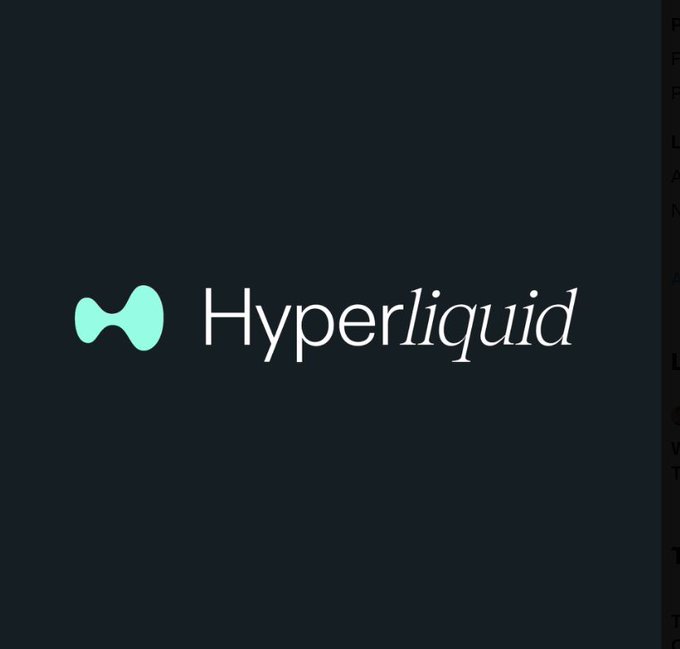 A dark screen displaying the 'Hyperliquid' logo with a teal wave-like symbol.