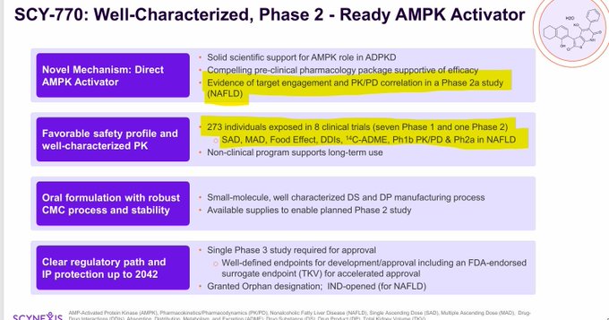 A presentation slide titled "SCY-770: Well-Characterized, Phase 2 - Ready AMPK Activator" highlights clinical trial data, with yellow emphasis on pre-clinical efficacy in a NAFLD Phase 2a study and a safety profile involving 273 individuals.