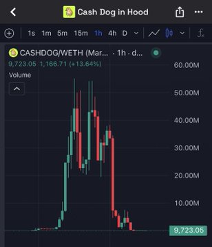 A crypto price chart showing CASHDOG/WETH on a 1-hour timeframe, displaying a dramatic pump to ~60M volume followed by a sharp crash back down to 9,723.05, down 13.64%—visually exemplifying the brutal, rug-pull-style price action referenced in the post.