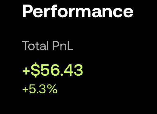The image displays a "Performance" summary showing a Total PnL of **+$56.43 (+5.3%)** in bright green text against a black background. This small gain relates to the post's theme of optimism after going "on chain," capturing the moment of placing money on-chain and feeling bullish about the resulting positive performance.