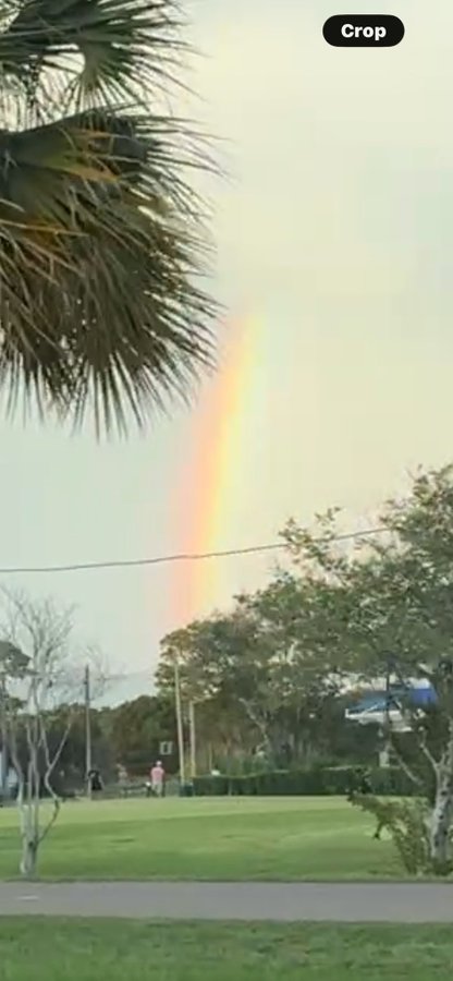 A vibrant rainbow arcs across a gray sky above a park with palm fronds in the foreground and distant figures walking on the grass.