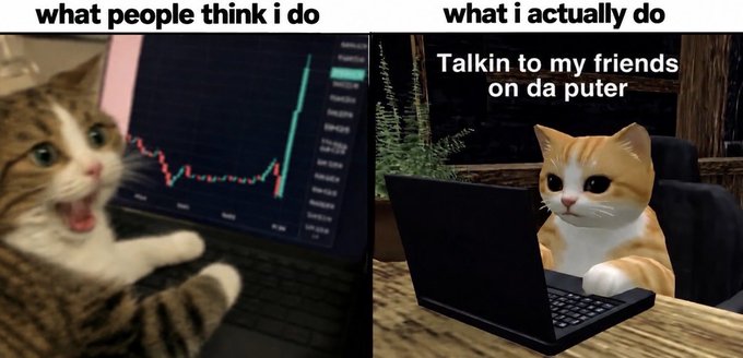 A meme showing two panels with cats at laptops: the left reads 'what people think I do' (shocked cat with trading chart) and the right reads 'what I actually do - Talkin to my friends on da puter' (smug cat typing).