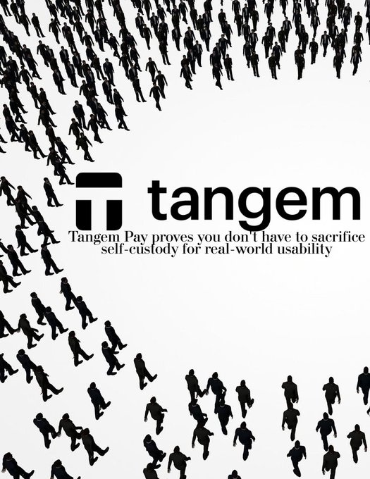 A minimalist black-and-white advertisement for 'tangem' featuring crowds of silhouetted figures walking, with the tagline 'Tangem Pay proves you don't have to sacrifice self-custody for real-world usability.'