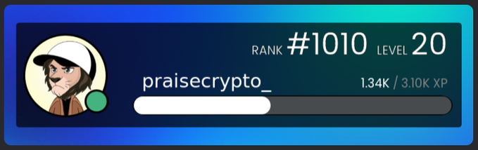 A digital profile card showing the username 'praisecrypto_' with a cartoon avatar of a man in a white cap, displaying Rank #1010, Level 20, and 1.34K / 3.10K XP on a blue gradient background.