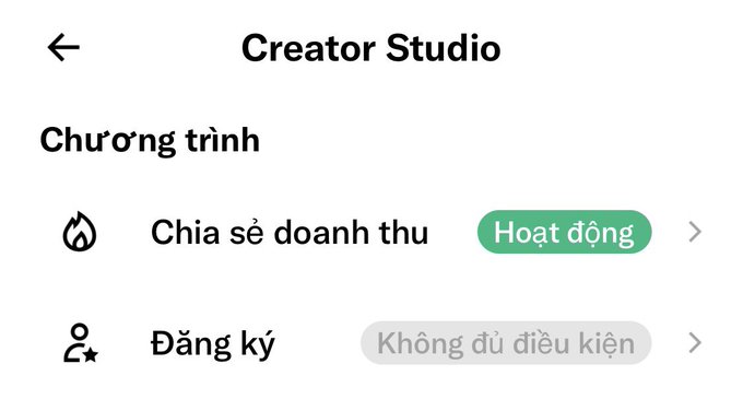 Creator Studio screen showing 'Chương trình' (Program) section with 'Chia sẻ doanh thu' (Revenue Sharing) marked as 'Hoạt động' (Active) and 'Đăng ký' (Register) marked as 'Không đủ điều kiện' (Not eligible).