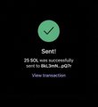 Small confirmation notification on dark background stating 'Sent! 25 SOL was successfully sent to Bk3HK_zQTr' with a View Transaction link.