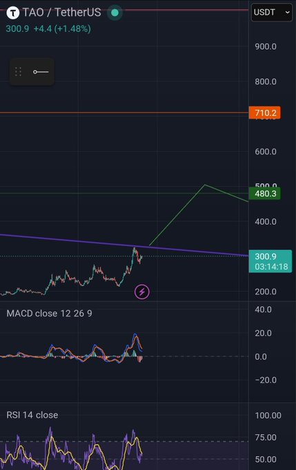 A TradingView chart of TAO/USDT showing the price at 300.9 (+1.48%) with MACD (12, 26, 9) and RSI 14 indicators visible, along with horizontal support levels at 710.2 and 480.3.