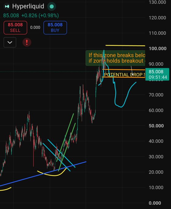 A candlestick chart of **Hyperliquid ($HYPE)** at **85.008 (+0.98%)**, showing a strong upward trend from ~$14 to ~$85 over the past 12 months, with hand-drawn annotations highlighting breakout zones and a potential drop area, visually supporting the post's claim of early buying and impressive gains.