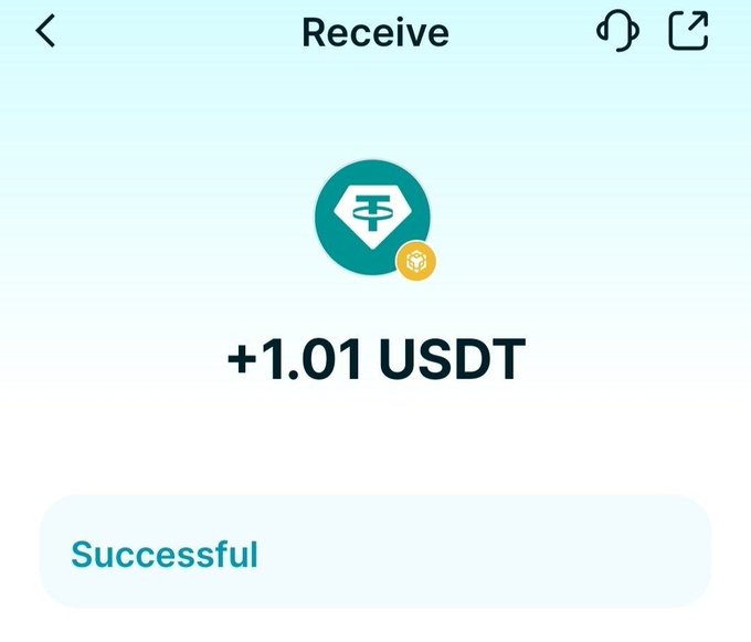 A Tether (USDT) wallet 'Receive' screen showing a successful transfer of +1.01 USDT.