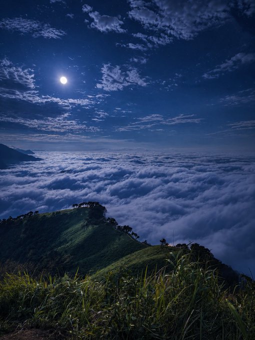 A nighttime mountain summit pierces through a sea of clouds beneath a luminous moon and starry sky. 

The image evokes the theme of "rising above" — mirroring the post's message about Nucleus and CNPY Network's architecture, where new chains emerge from a secure foundation, much like the peak breaking through the mist to a clearer view.