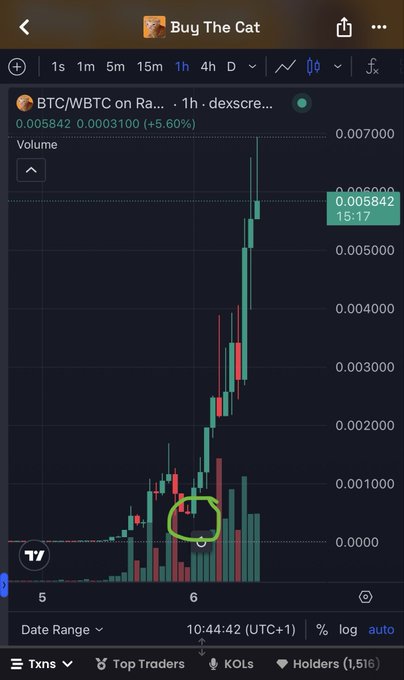 The image shows a TradingView 1-hour candlestick chart for BTC/WBTC on Raydium, currently priced at 0.005842 with a +5.60% gain. A green circle highlights the earlier consolidation zone around the 0.001000 level, visually emphasizing the "10x so far in 10 hours" claim from the caption promoting the meme coin "Buy The Cat."