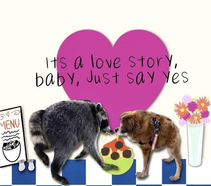 Humorous illustration showing a raccoon and a dog sharing a slice of cake with a pink heart background and text reading 'Its a love story, baby, Just say yes'.