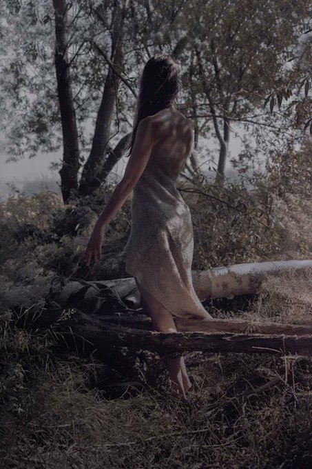A moody photograph of a woman in a long gray dress standing barefoot on a fallen log in a misty forest setting.