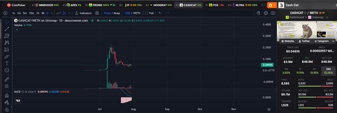 The image shows a CoinPulse trading chart for $CASHCAT on Unlswap, displaying a dramatic price spike to $0.04939 before falling back, with metrics showing a market cap of $3.9M and 6,585 holders—visually illustrating the post's argument that Cash Cat's valuation should be measured in billions rather than its current millions.