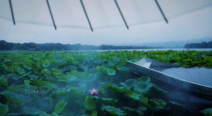 A misty, atmospheric view of a lotus pond filled with lily pads, with a wooden dock visible on the right side under an umbrella, signed 'YUN VIS.'