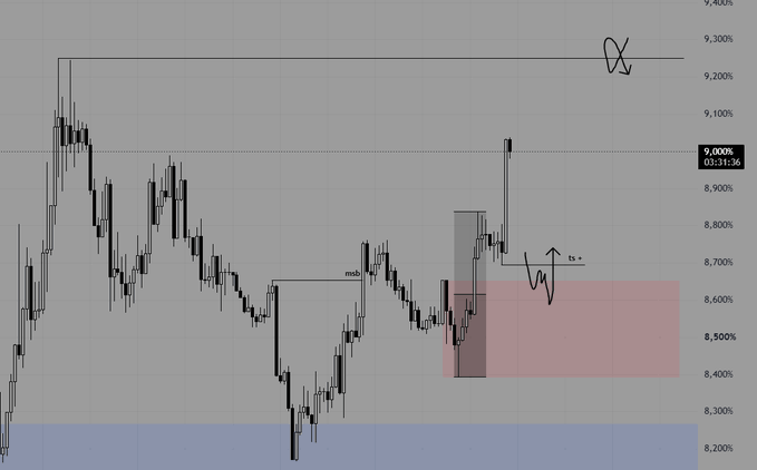 A candlestick chart of USDT shows price action around the 9,000 level, with annotations indicating an "x" target near 9,300 and a "ts+" (take setup) zone around 8,800, alongside a red box from approximately 8,400–8,600 marked as a potential area where price could be driven upward.