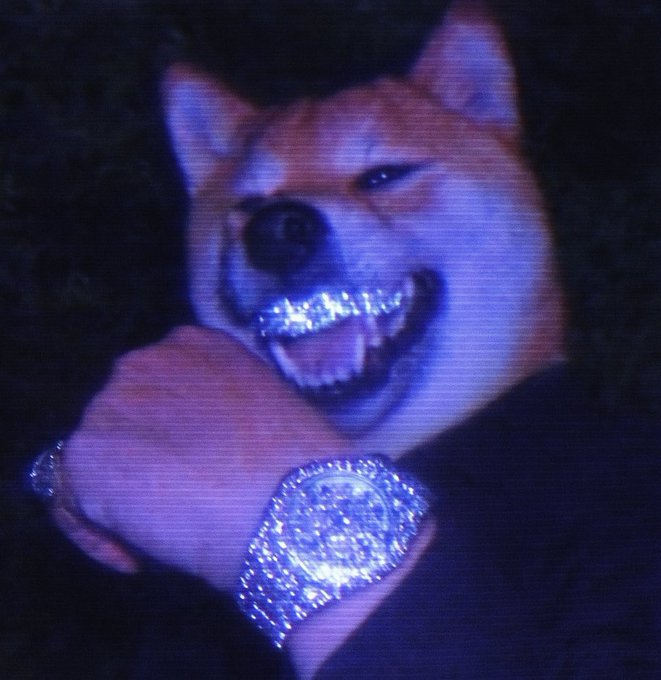 A Shiba Inu dog wearing a "grillz" and diamond-encrusted watches and rings flashes a "dawg" expression under blue lighting, humorously embodying the "BONK" spirit referenced in the post, with the meme also playfully suggesting PENGU has the same dog-like energy.
