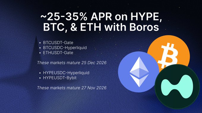 Promotional graphic advertising ~25-35% APR yields on BTC, ETH, and HYPE markets through Boros, listing specific maturities (BTCUSDT-Gate, BTCUSDC-Hyperliquid, ETHUSDT-Gate maturing 25 Dec 2026, and HYPEUSDC-Hyperliquid, HYPEUSDT-Bybit maturing 27 Nov 2026), visually reinforcing the post's message of fixed yields available until Christmas.