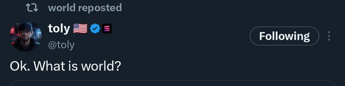 A screenshot of a post by user "toly" (@toly) showing the text "Ok. What is world?" in response to a question about the Solana community's bullish stance on @world_xyz, with a "Following" button visible on the right.