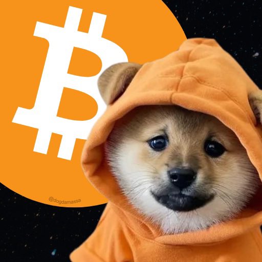 A Shiba Inu dog wearing an orange hoodie is pictured in front of an orange circle featuring the Bitcoin logo on a dark background.