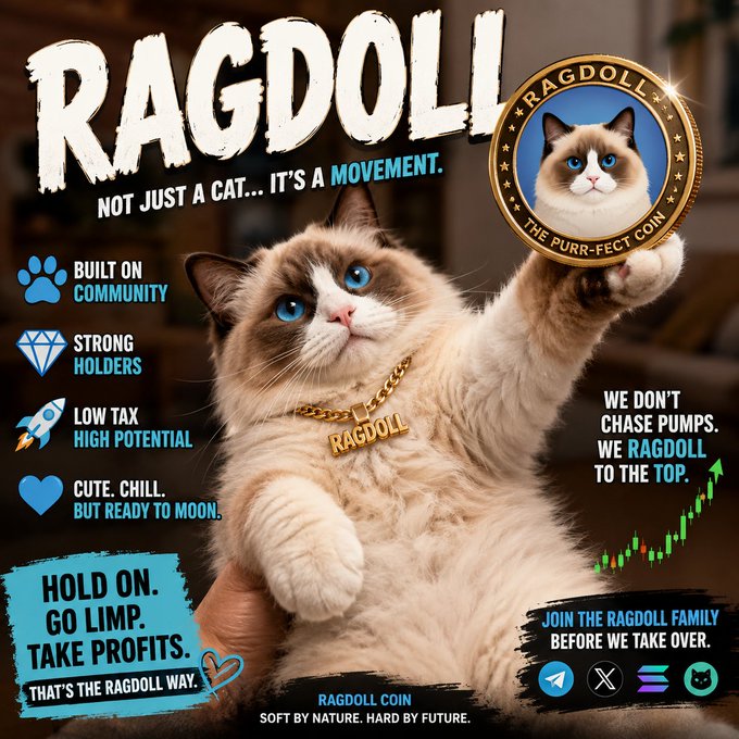 A promotional poster for 'RAGDOLL' cryptocurrency featuring a Ragdoll cat holding a coin labeled 'THE PURR-FECT COIN,' with slogans like 'NOT JUST A CAT... IT'S A MOVEMENT,' 'HOLD ON. GO LIMP. TAKE PROFITS. THAT'S THE RAGDOLL WAY,' and 'SOFT BY NATURE. HARD BY FUTURE.'