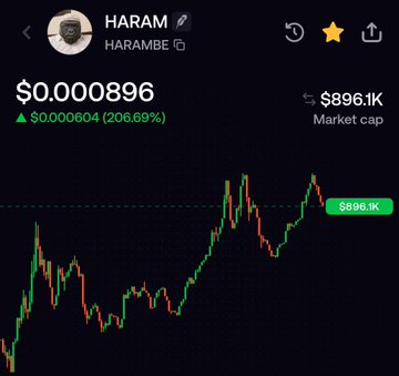 A cryptocurrency trading chart for the token 'HARAM' (HARAMBE) showing a price of $0.000896, a 24-hour gain of 206.69%, and a market cap of $896.1K.