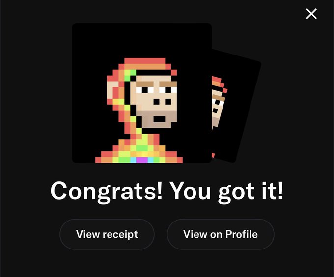 A digital artwork purchase confirmation screen displaying 'Congrats! You got it!' below pixel art portraits with options to 'View receipt' or 'View on Profile'.