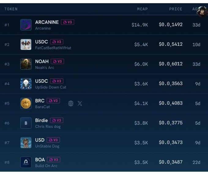 A token listing table showing ARCANINE (#1, MCAP $14.9K, $0.01492), USDC (#2, $5.4K, $0.05412), NOAH (#3, $6.0K, $0.06012), and other tokens including USDC, BRC, Birdie, USD, and BOA, all marked V3.