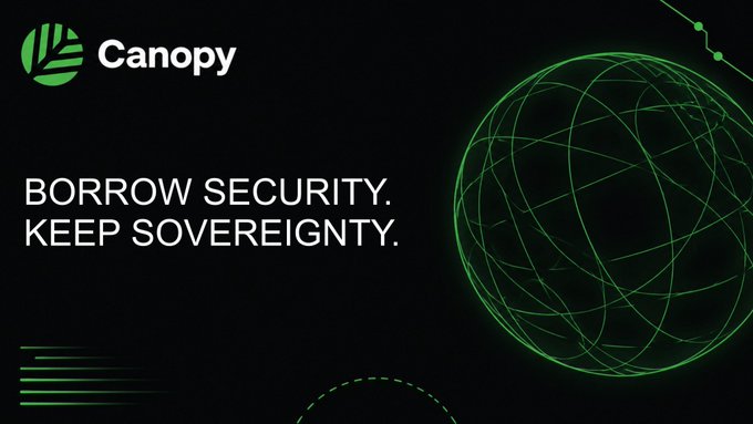 The image features a black background with a green globe at its center that says "Canopy". Below the globe, there's text that reads "borrow security keep sovereignty". The text also mentions that the globe represents a new blockchain project called Canopy.