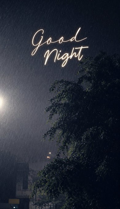 A moody night scene featuring glowing "Good Night" neon-style text in the sky, with a bright moon, silhouetted trees, and gentle rain streaks.