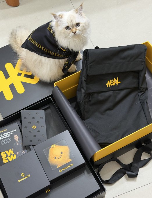 A fluffy white cat wearing a black Binance-branded outfit sits beside a yellow and black swag bag containing a backpack, stickers, and a small plush toy from Binance's SWBWS (SWU BNB Web3 Summit) event.