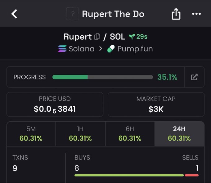A cryptocurrency tracking screen for 'Rupert The Do' token on Solana via Pump.fun, showing a price of $0.0₅3841, market cap of $3K, and 60.31% gains across multiple timeframes.
