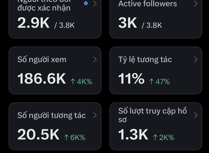 Social media analytics dashboard in Vietnamese showing metrics: 2.9K/3.8K confirmed followers, 3K/3.8K active followers, 186.6K views (+4K%), 11% interaction rate (+47%), 20.5K interactions (+6K%), and 1.3K profile visits (+2K%).