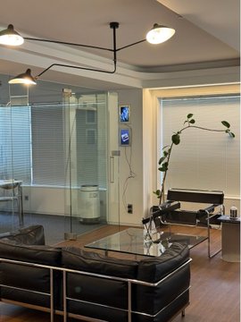 An interior view of a stylish living room featuring a modern black leather sectional sofa, a glass coffee table, distinctive multi-arm ceiling lamp, and a tall plant in the corner.